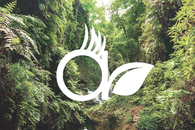 WE ARE SUSTAINABLE